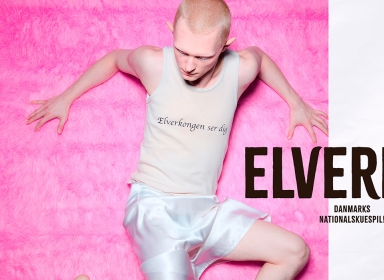 Elverhøj