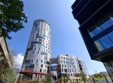 Bygningen TRÆ , Sydhavnen Aarhus, foto: Ciara Ní Riain