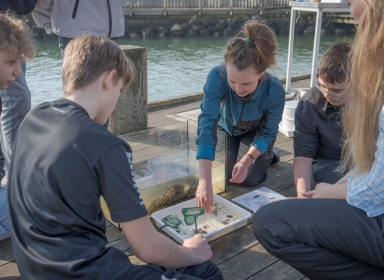 Havbønder Havbønder