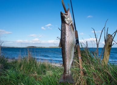 Fisketur med UNO Friluftscenter