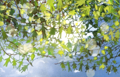Illustrator: Els Cools, 2025