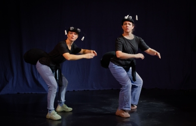 Myrerne finder en stor majskerne