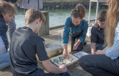 Havbønder Havbønder