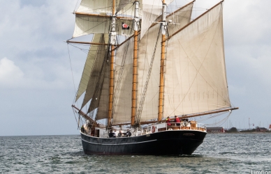 Foto af skonnerten Maja taget under sejlads på Limfjorden.