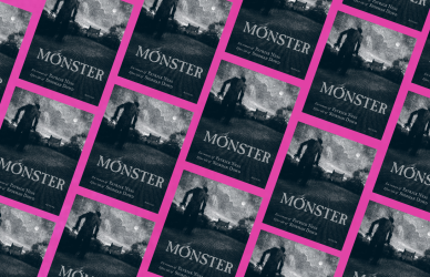 Billede af forsiden på bogen "Monster"